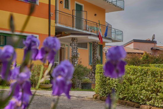 Pizzeria San Michele solo d'asporto